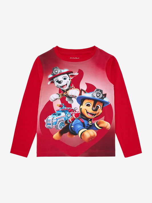 Langermabolur, hvolpasveita frá Minymo