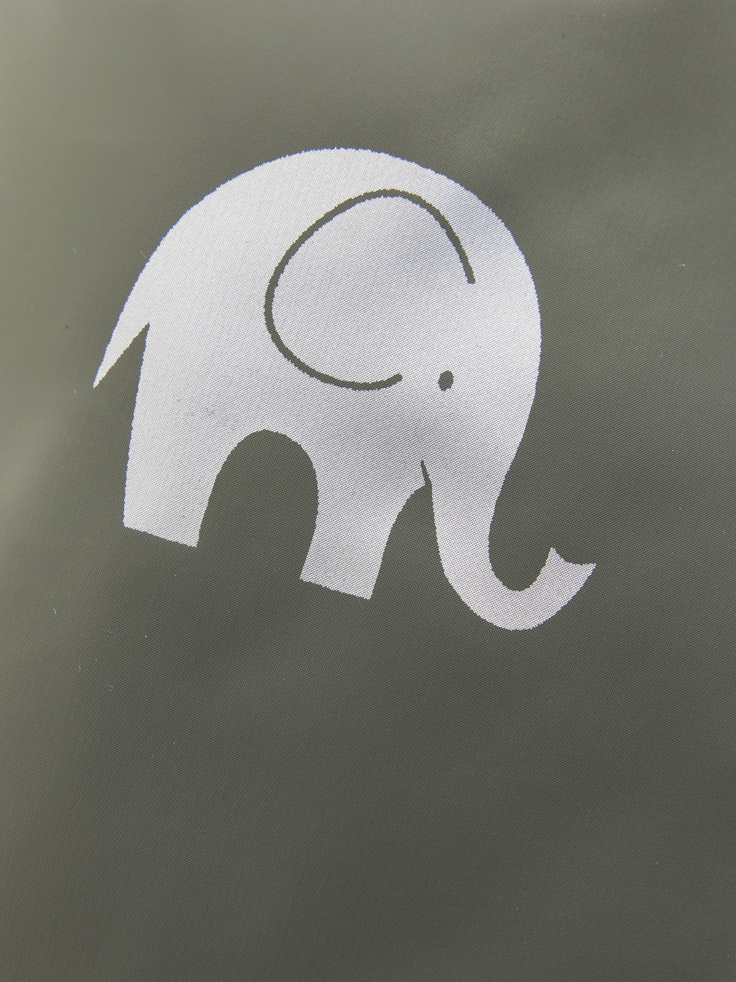 Regnvettlingar frá Celavi